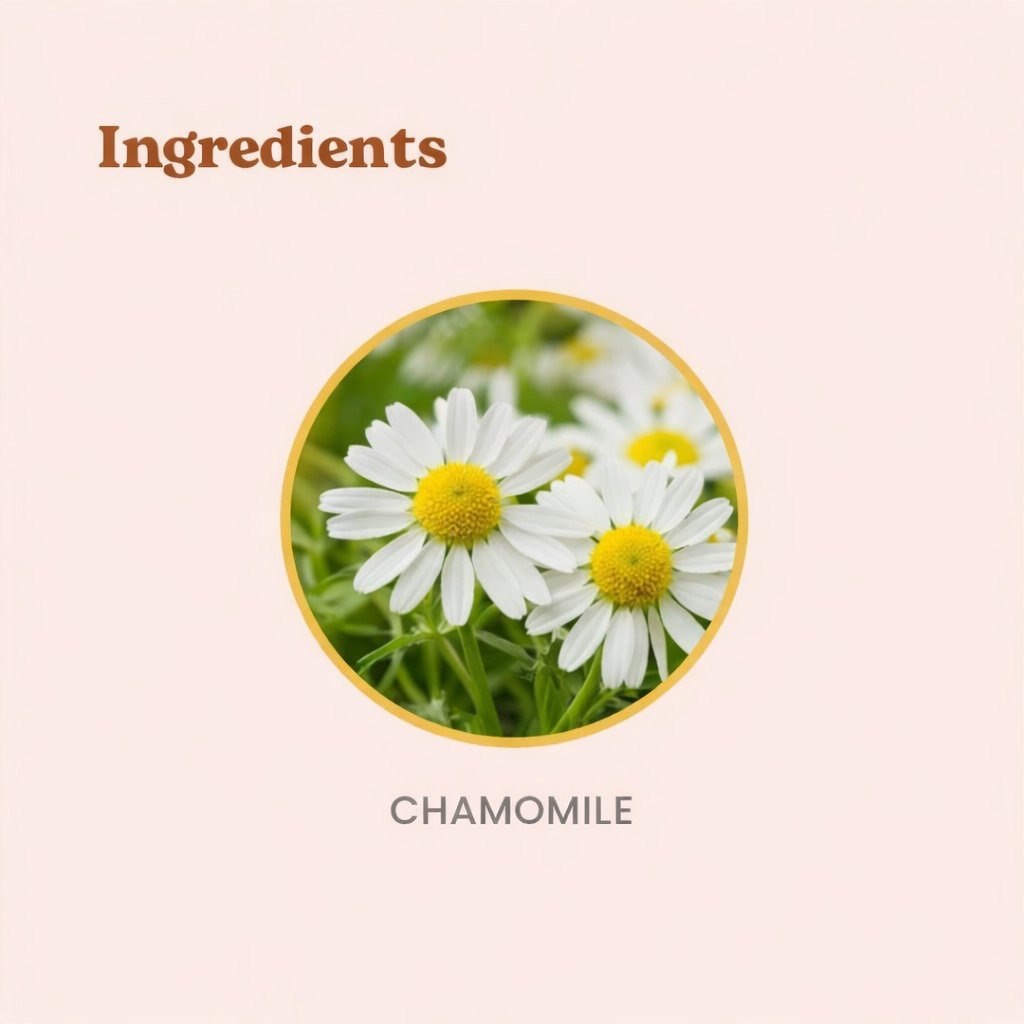 Chamomile Herbal Tea