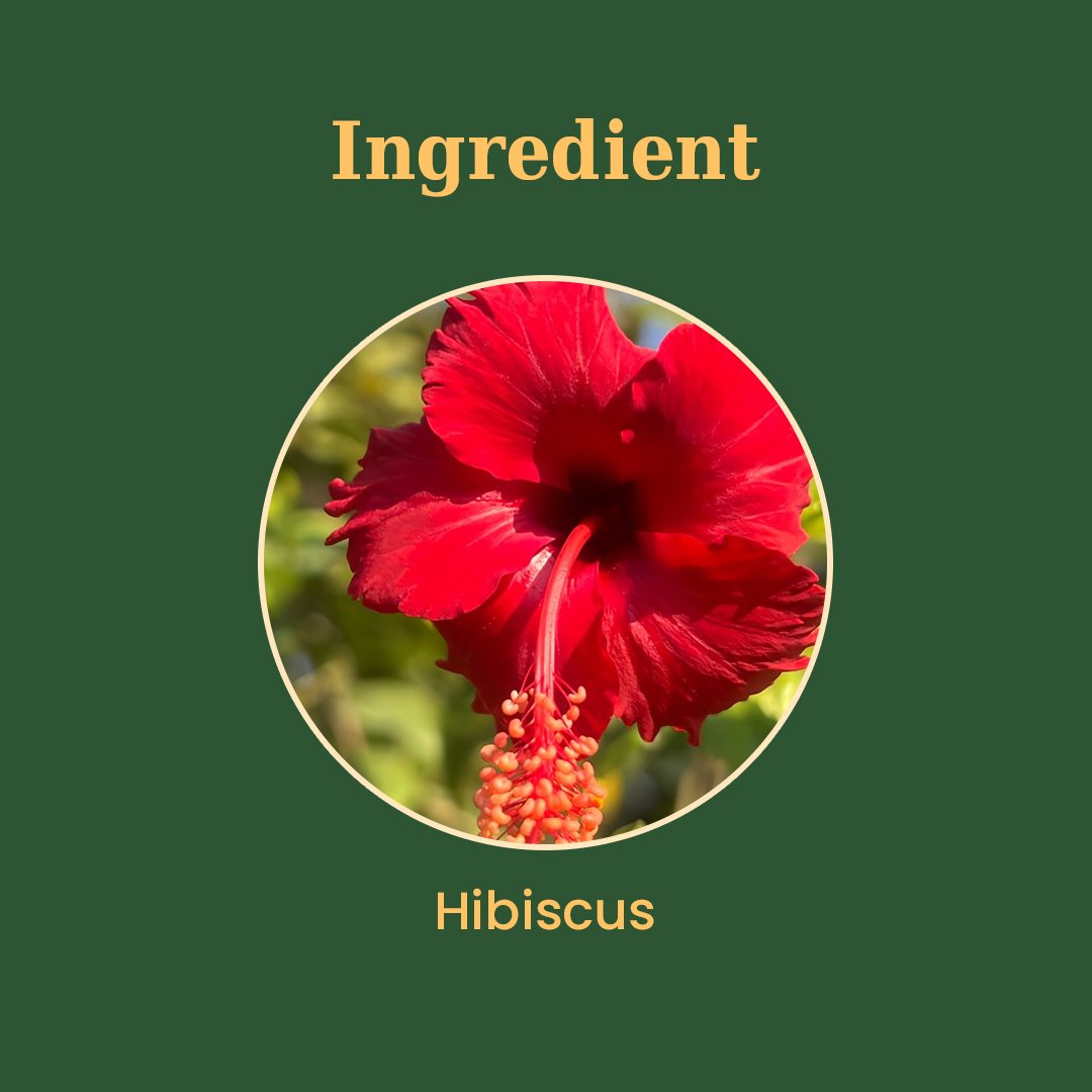 Hibiscus Tea