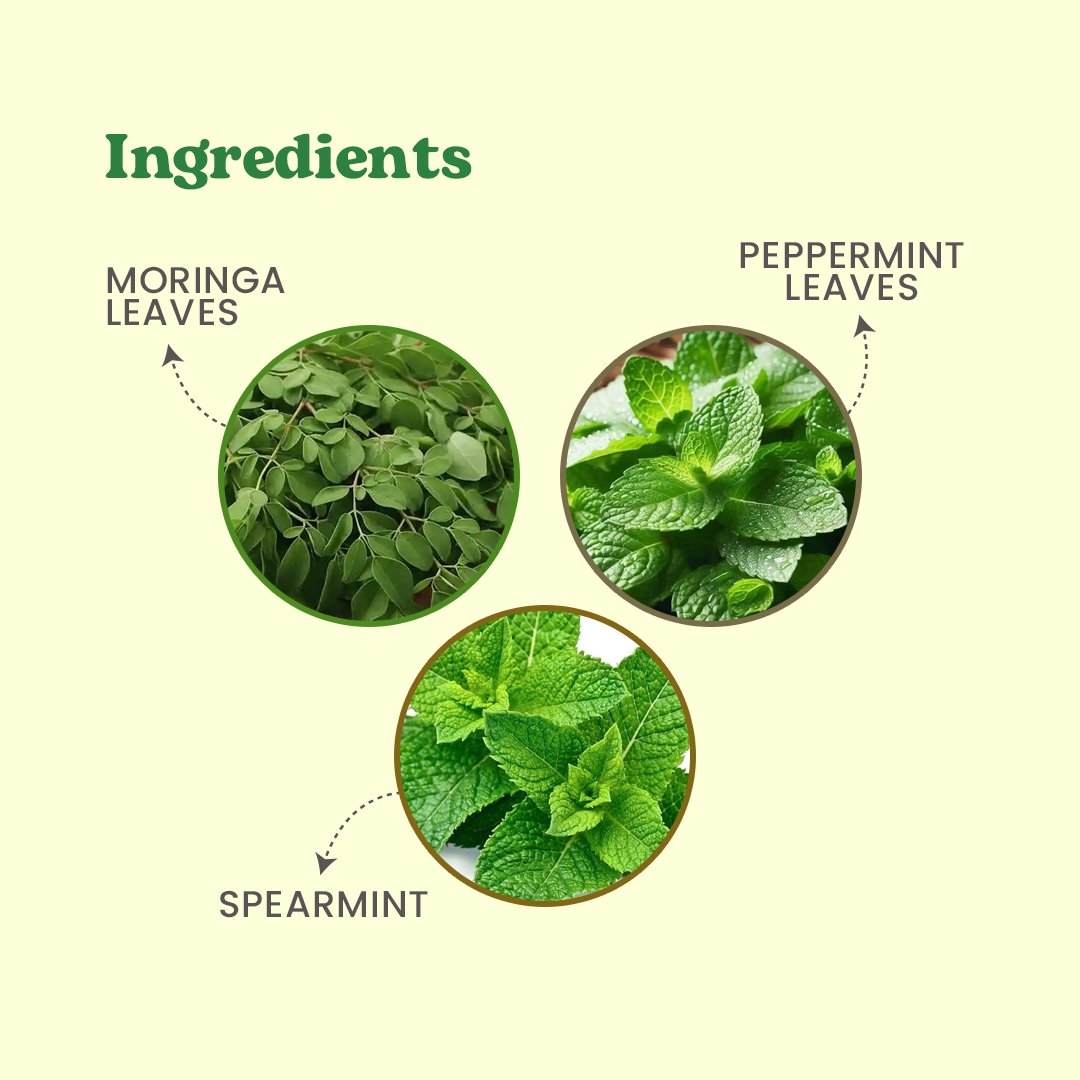 Moringa Mint Tea