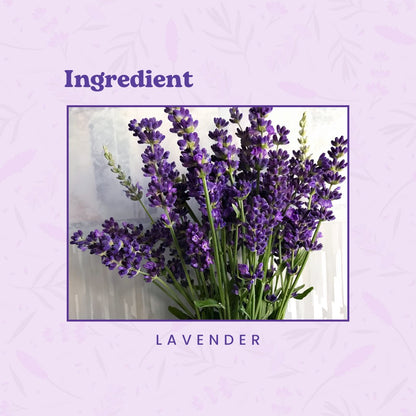 Lavender Tea